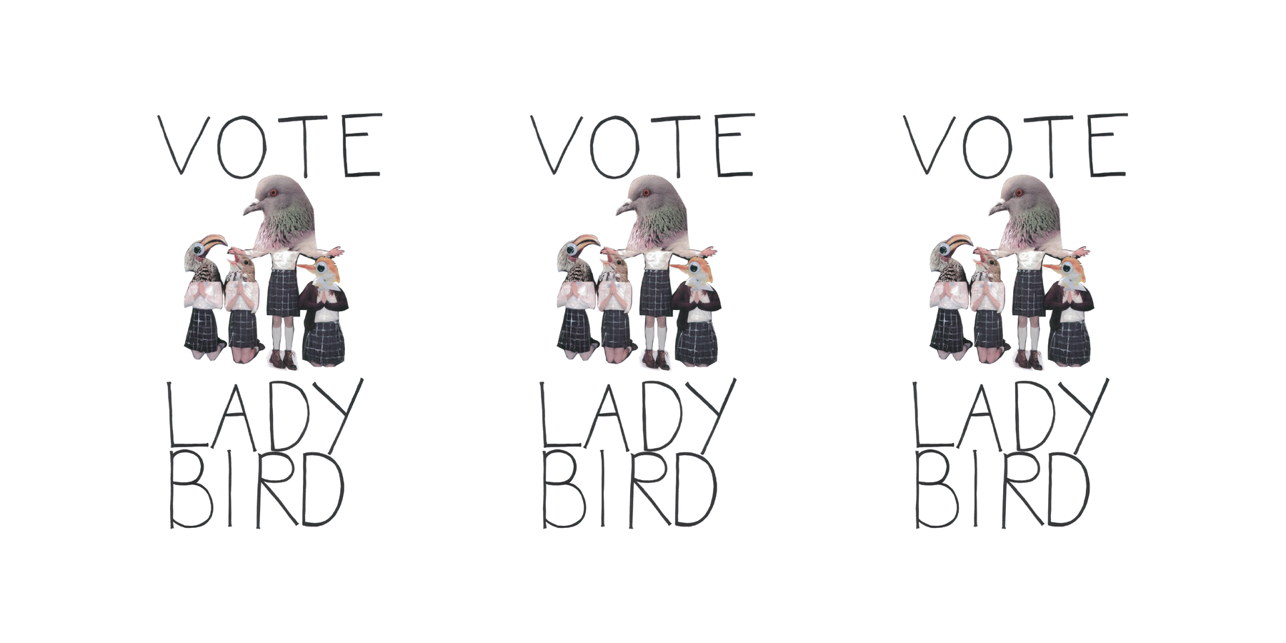 What Is Lady Bird Book